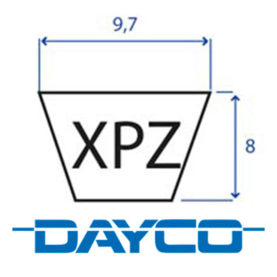 205.XPZ787